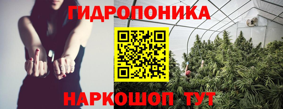 Вятские Поляны  Каннабис Amnesia  Вход с VPN  Каннабис VHQ  Бошки Шишки план  Каннабис индика 